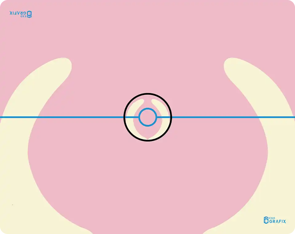 Heal Ball - 2 Player Playmat